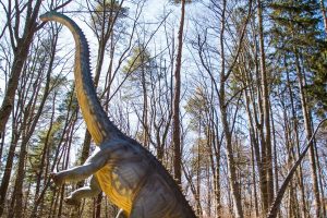 Diplodocus, cel mai înalt dinozaur din istorie, expus la Dino Parc Râșnov