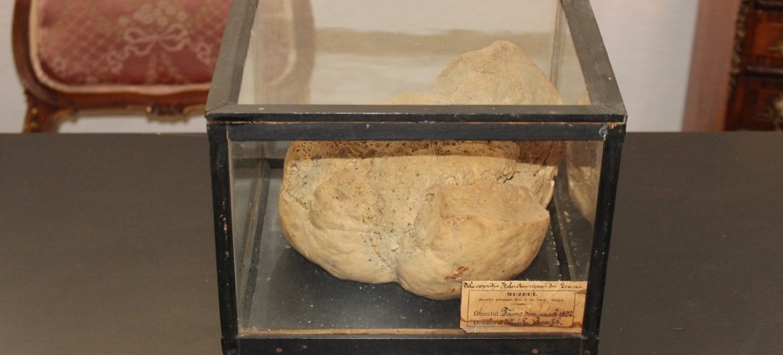 Cea mai veche pâine din lume, ”Pâinea de la Genova”, din 1892, expusă la Galați!