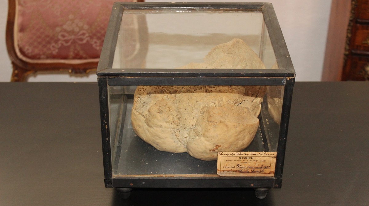 Cea mai veche pâine din lume, ”Pâinea de la Genova”, din 1892, expusă la Galați!