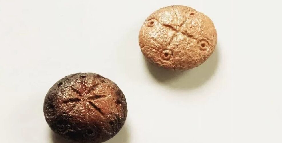 Piese de joc folosite în jocurile romane, descoperite la Hadrianopolis